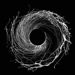 2013-10-14-tolpa-bumov-dawn-of-midi-dysnomia-19535