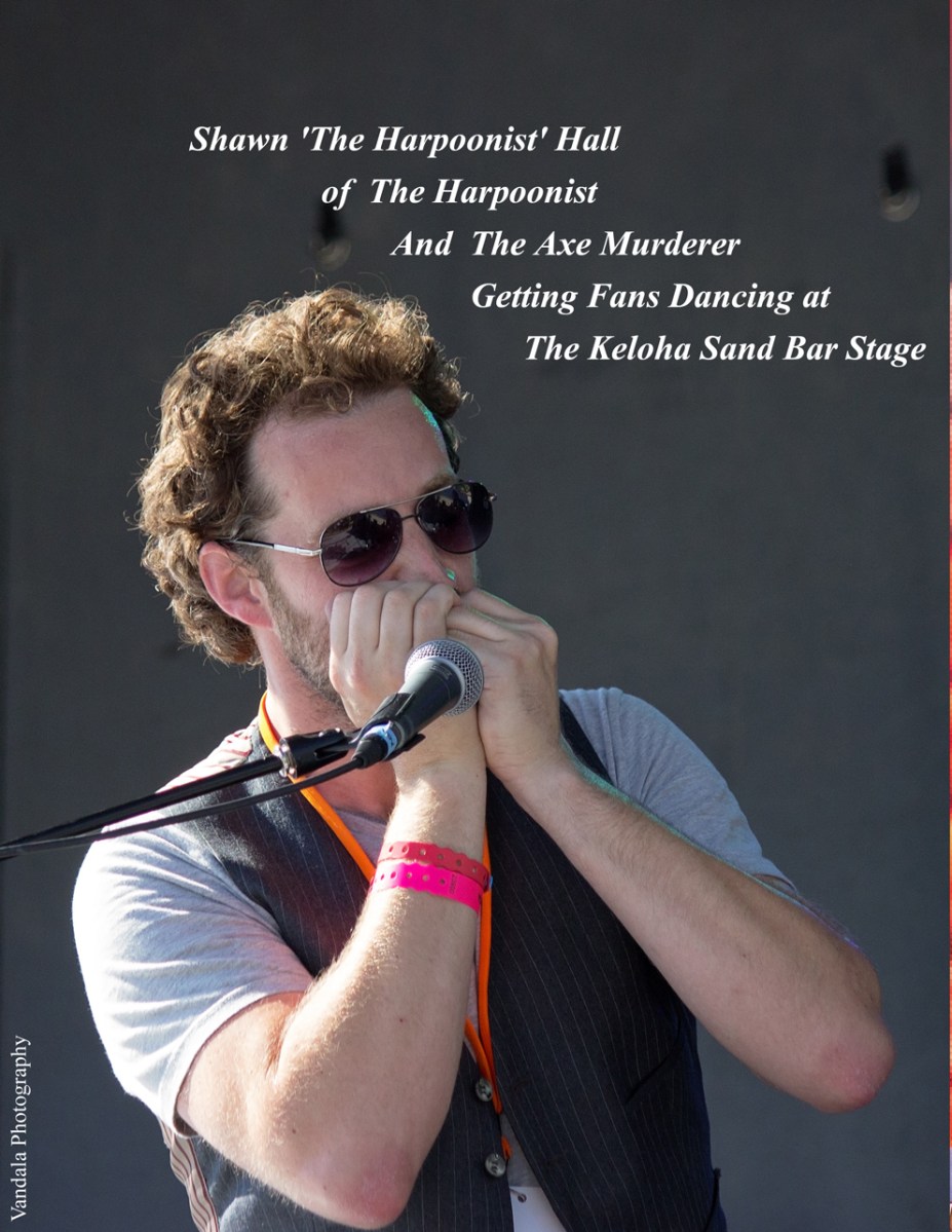 The Harpoonist and the Axe Murderer at Keloha '14