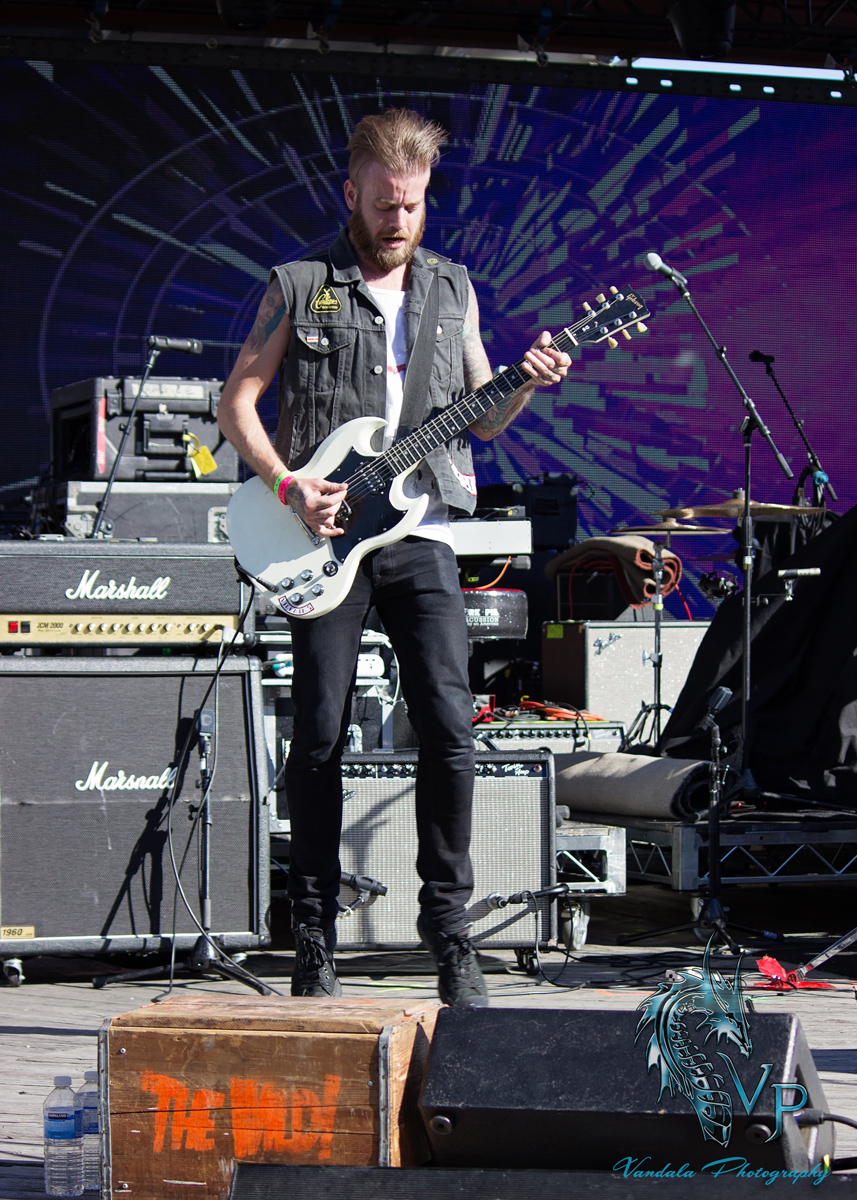 The Wild! at Keloha 2014