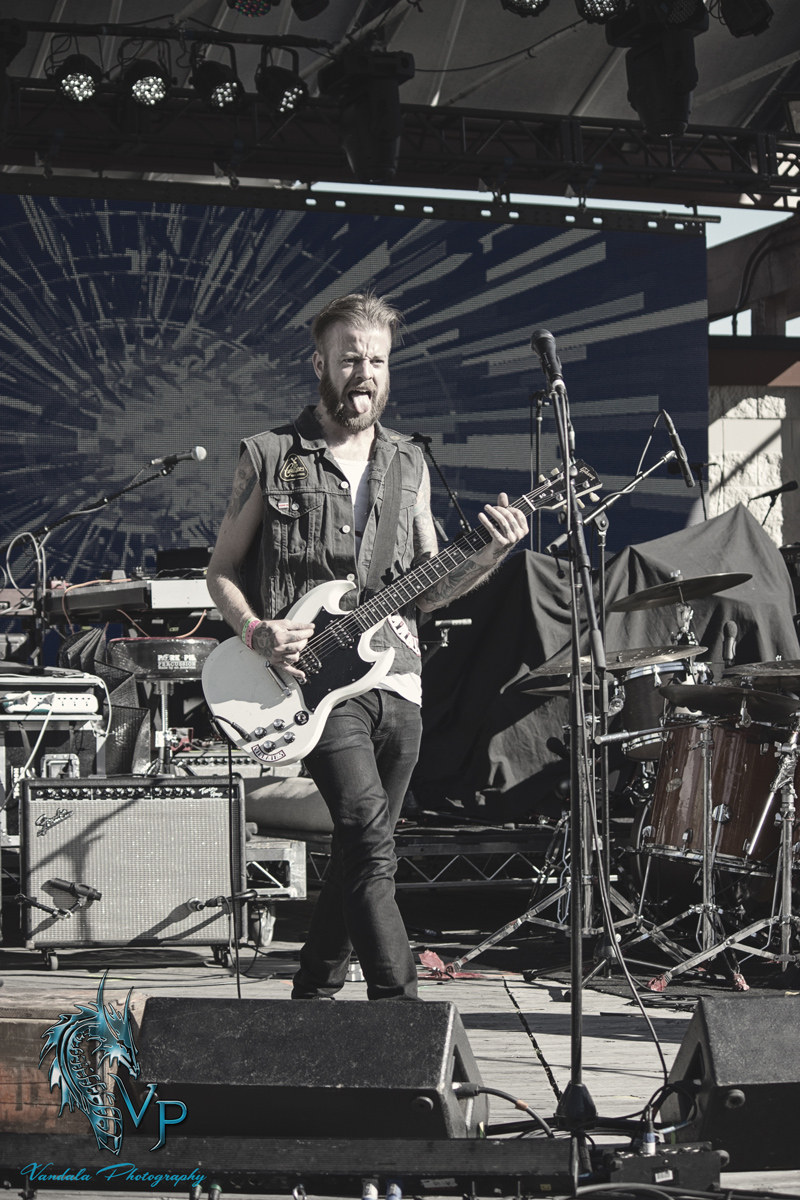 The Wild! at Keloha 2014