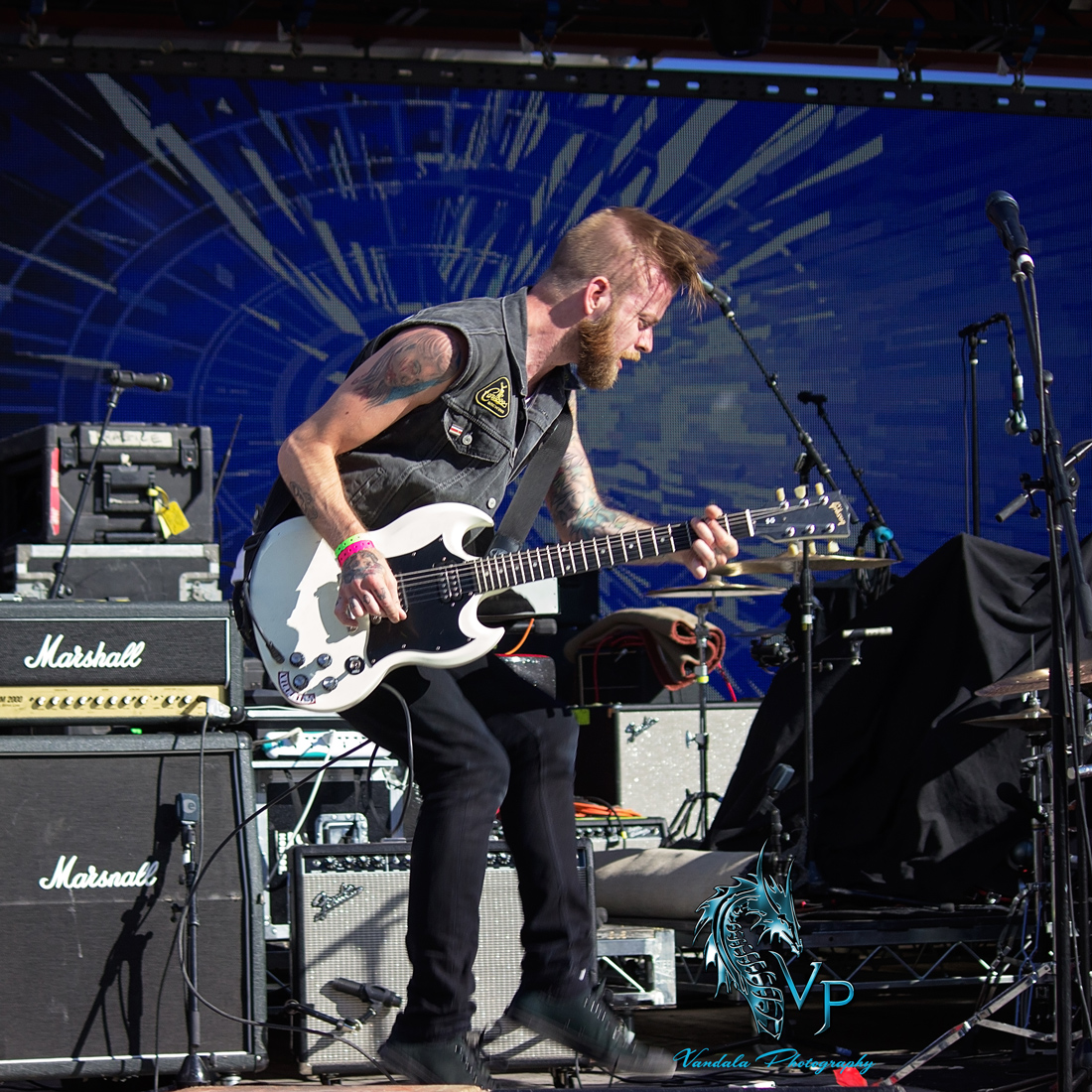 The Wild! at Keloha 2014