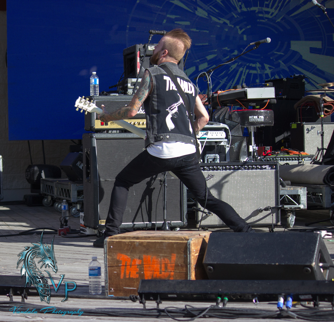 The Wild! at Keloha 2014