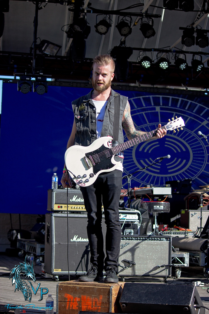 The Wild! at Keloha 2014