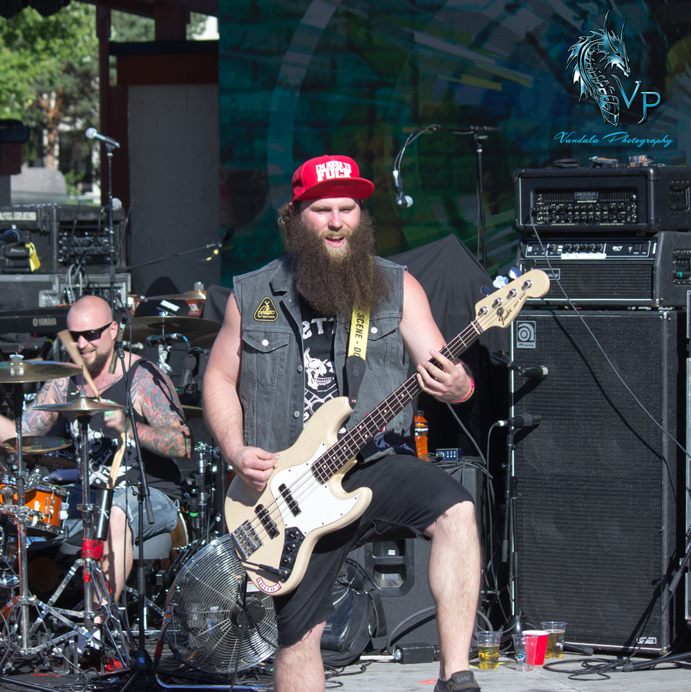 The Wild! at Keloha 2014