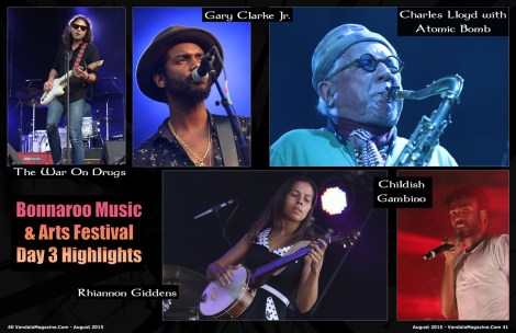 August-2015-Vandala-Magazine--Bonnaroo-Festival-2015-2