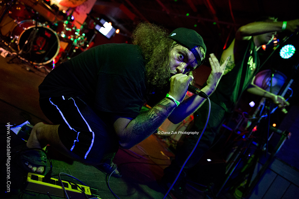 Mulefest 2015 Edmonton Alberta