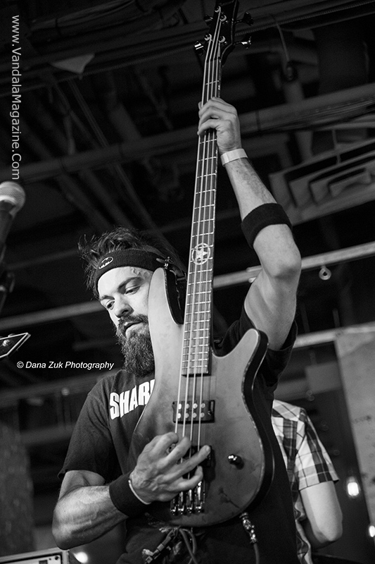 Mulefest 2015 Edmonton Alberta