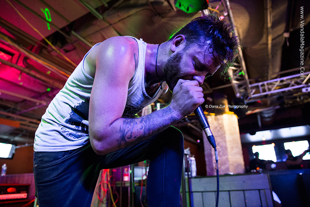 Mulefest 2015 Edmonton Alberta