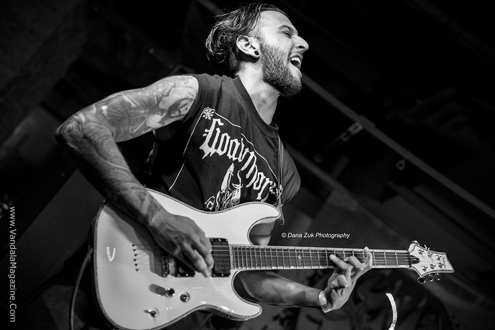 Mulefest 2015 Edmonton Alberta