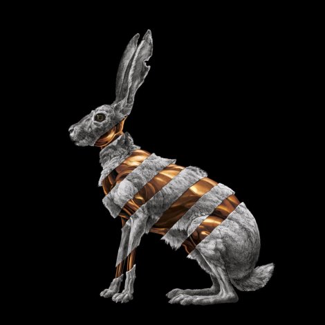 San Fermin, Jackrabbit