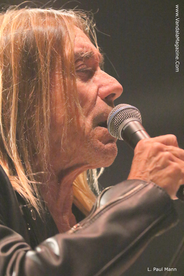 Detroit Riot Fest 2015 Oct Vandala Magazine