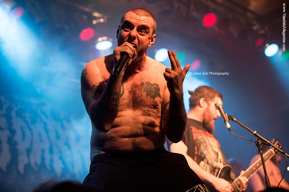 King Parrot - Vandala Mag - Photo Credit Dana Zuk