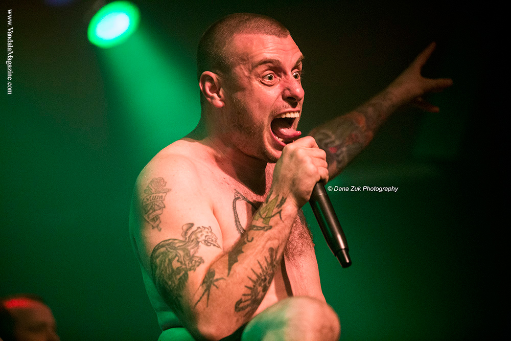 King Parrot - Vandala Mag - Photo Credit Dana Zuk