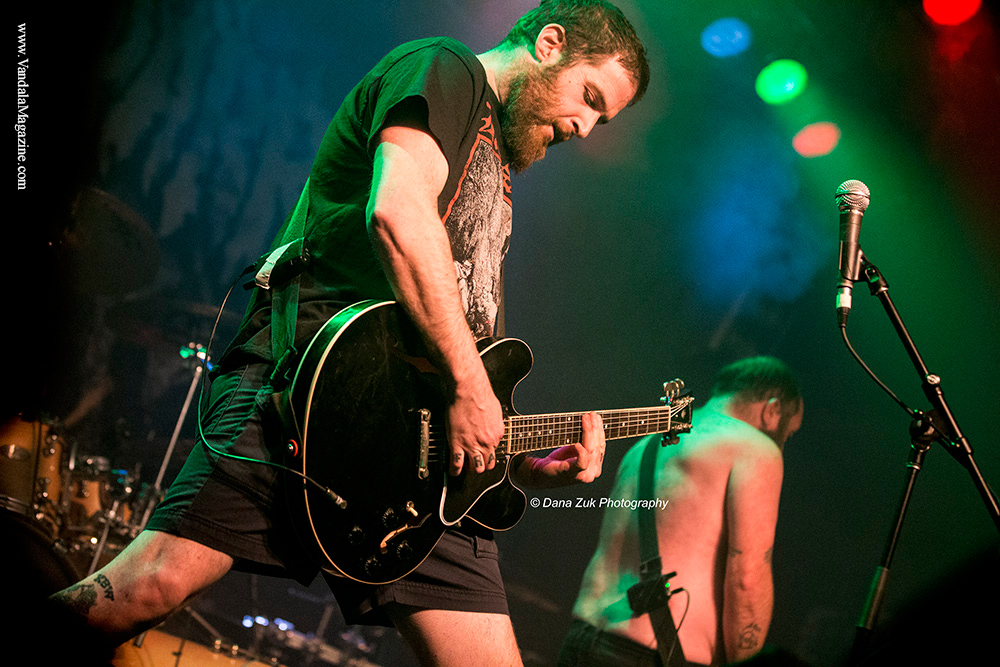 King Parrot - Vandala Mag - Photo Credit Dana Zuk