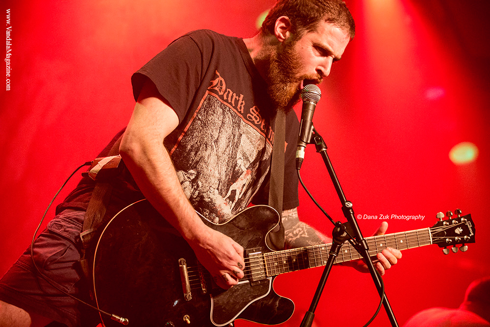 King Parrot - Vandala Mag - Photo Credit Dana Zuk