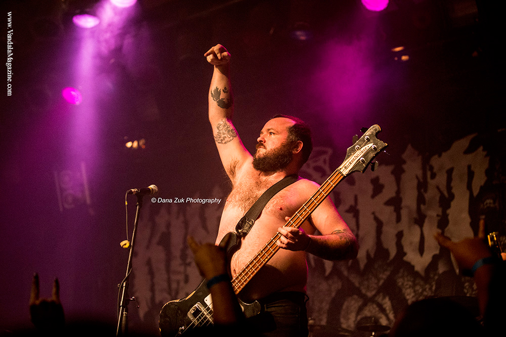 King Parrot - Vandala Mag - Photo Credit Dana Zuk