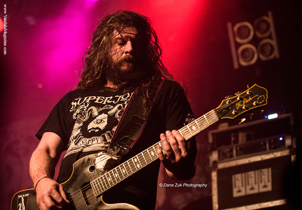 King Parrot - Vandala Mag - Photo Credit Dana Zuk