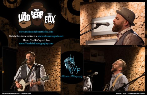February 2016 Vandala The Lion The Bear The Fox Photo Credit Vandala Photography