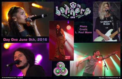 Bonnaroo Festival Day 1 Vandala Magazine L. Paul Mann
