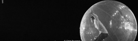 Twenty One Pilots Xfest 2016