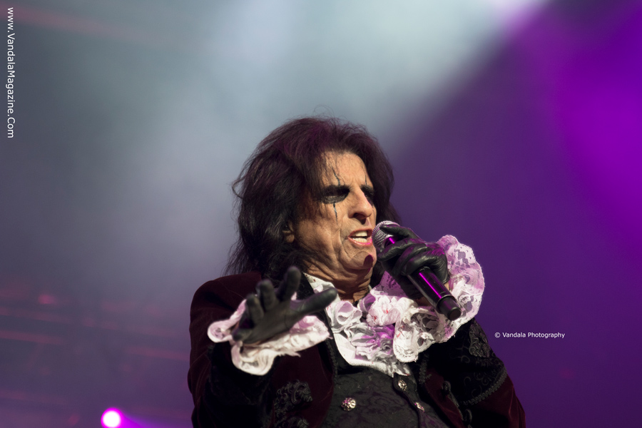 Spend the Night With Alice Cooper