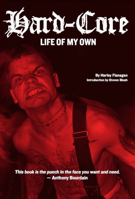 harleyflanaganhardcorebookcover