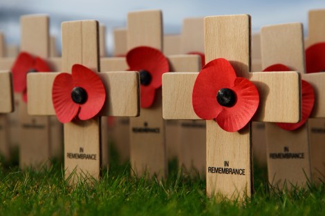 remembrance-day-images-2016